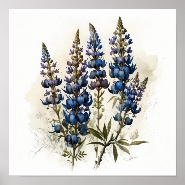 Blått Lupine Flower Art Print Poster (Framsidan)