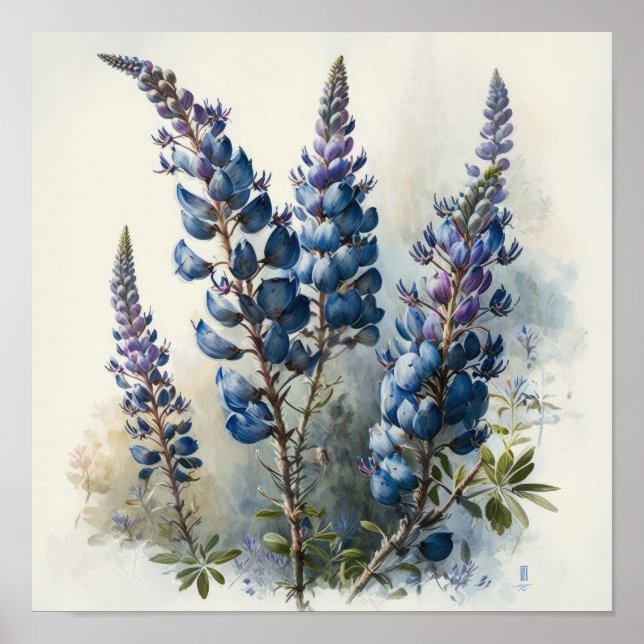 Blått Lupine Flower Art Print Poster (Framsidan)