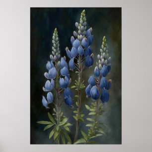 Blått Lupine Flower Art Print Poster