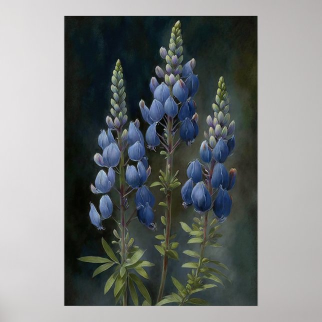 Blått Lupine Flower Art Print Poster (Framsidan)