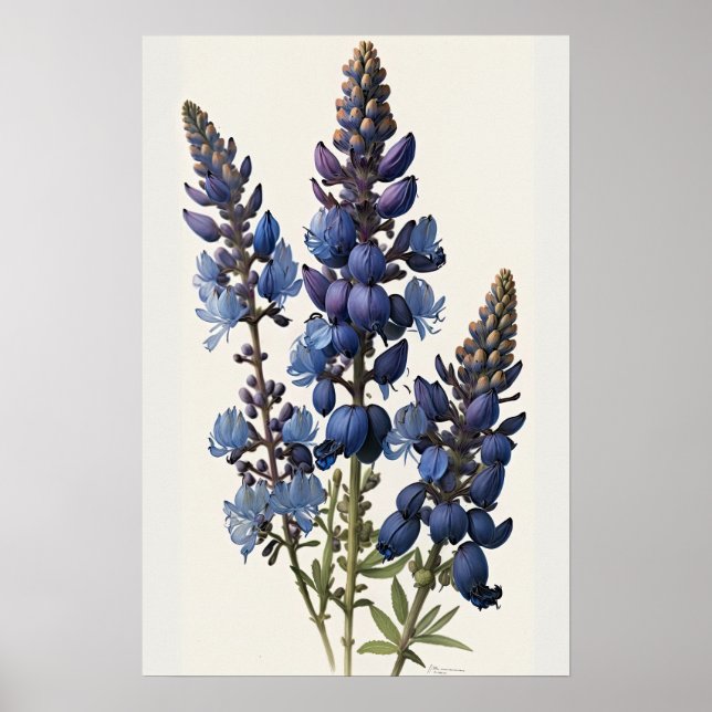 Blått Lupine Flower Art Print Poster (Framsidan)