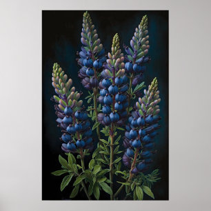 Blått Lupine Flower Art Print Poster