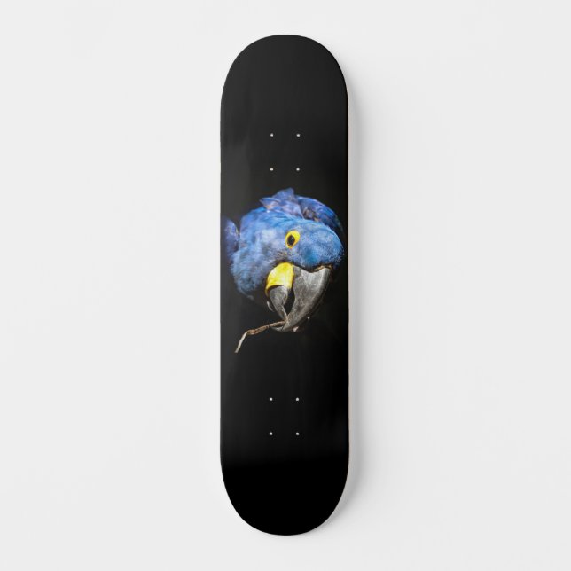 Blått Macaw Skateboard (Framsida)