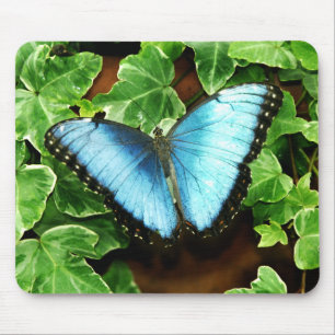 Blått Morpho Mousepad Musmatta