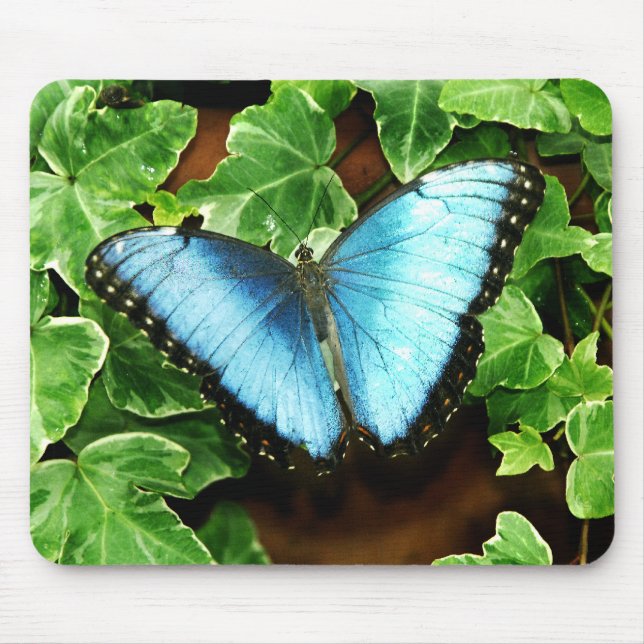 Blått Morpho Mousepad Musmatta (Framsidan)