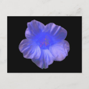 Blått Nasturtium Flower vycard Vykort