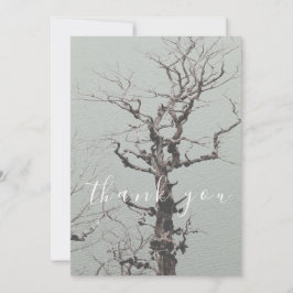 Blått nordvilt Träd Blå Tack Sjö