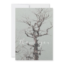 Blått nordvilt Träd Blå Tack Sjö