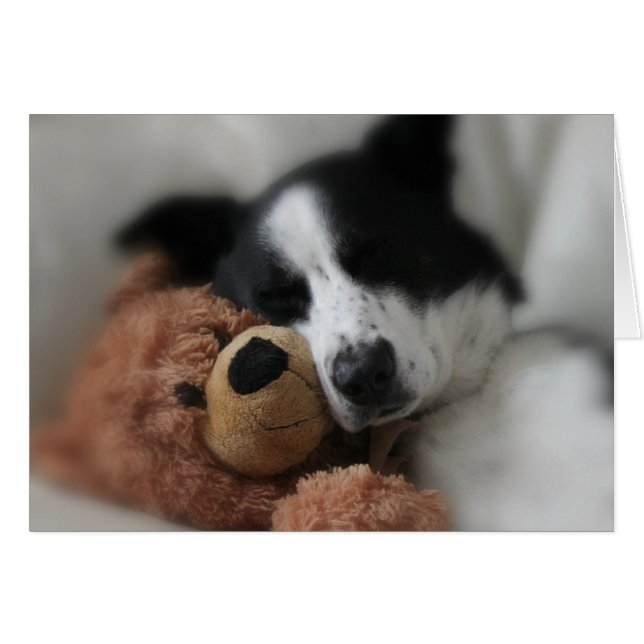 Blått och björn OBS kort (Framsidan Horizontal)