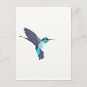 Blått och Grönt Humming Bird Vykort