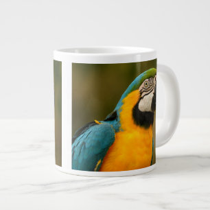 blått och guld macaw jumbo mugg