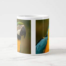 blått och guld macaw jumbo mugg