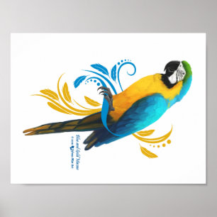 Blått och Guld Macaw Poster