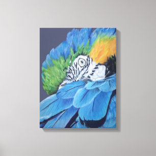 Blått- och guldMacaw Canvastryck