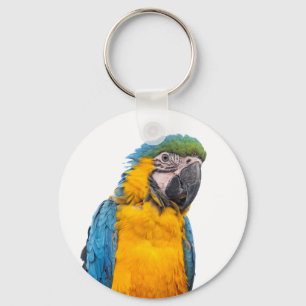 Blått- och guldMacaw Nyckelring