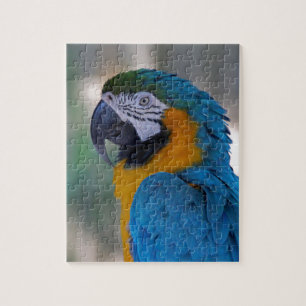 Blått- och guldMacaw Pussel
