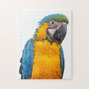 Blått- och guldMacaw Pussel