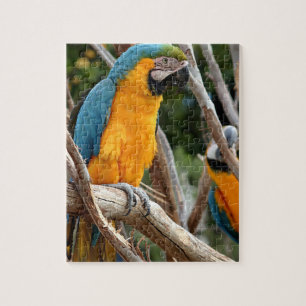 Blått- och guldMacaw Pussel