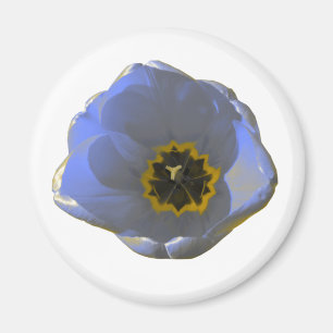 Blått och Gult Tulip Magnet