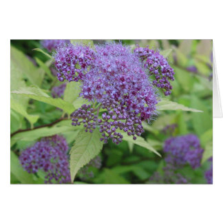 Blått och kalk hälsningskort