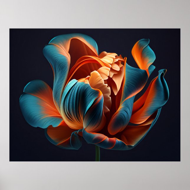 Blått och Orange Tulip på en fetstilt svart bakgru Poster (Framsidan)