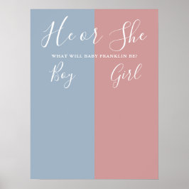 Blått och rosa könsbestämmande röstningsskylt poster