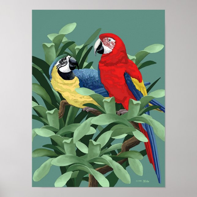 Blått och rött Macaw Poster och konstnärliga utskr (Framsidan)