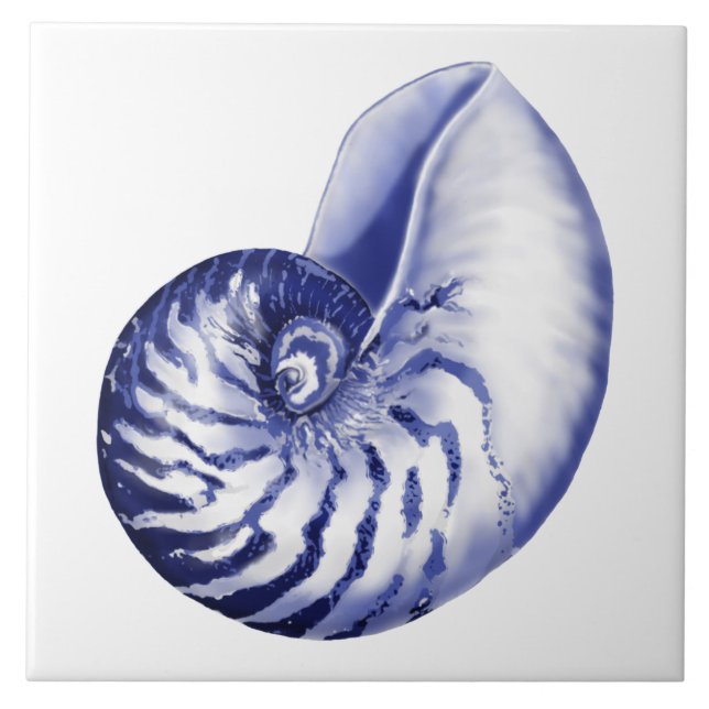 Blått och vitt nautilus-snäcka keramiskt plattor kakelplatta (Framsidan)