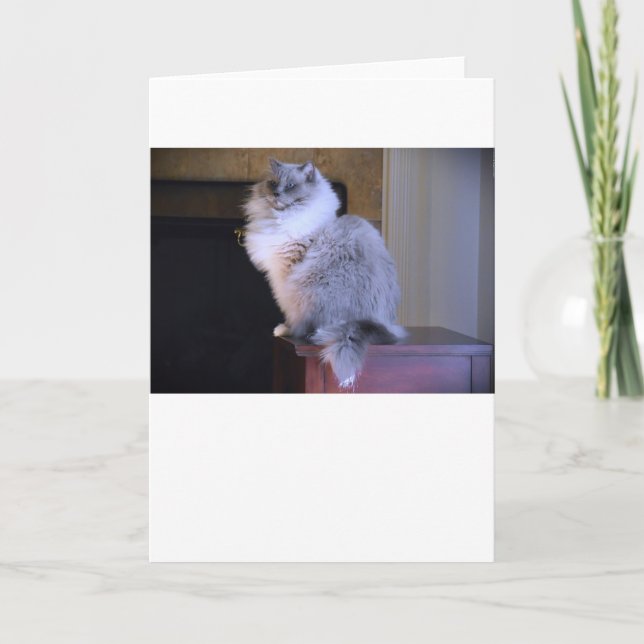 Blått Öga, kort (Framsida)