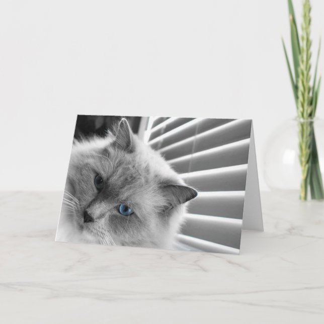 Blått Öga, kort (Framsida)