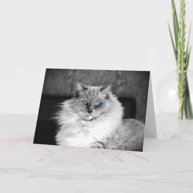 Blått Öga, kort (Framsida)