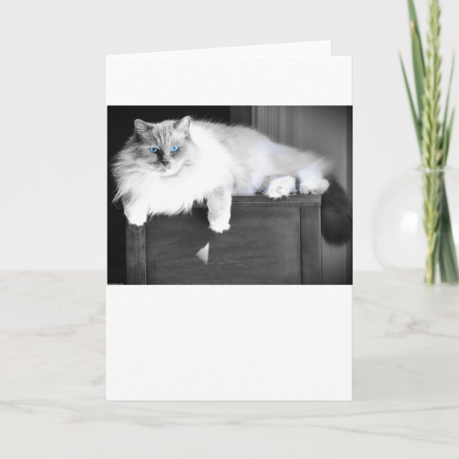 Blått Öga, kort (Framsida)