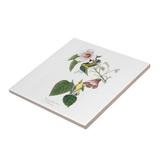 Blått-påskyndade gula sångareAudubon fåglar Kakelplatta