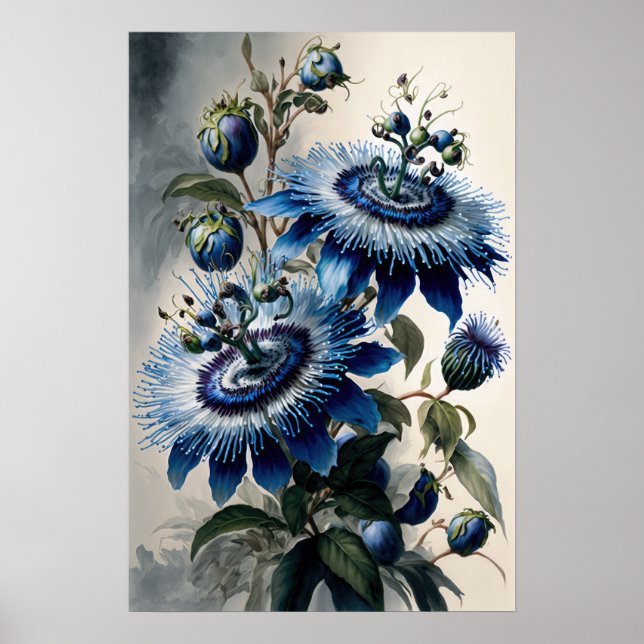 Blått passionsblommor Art Skriv ut Poster (Framsidan)