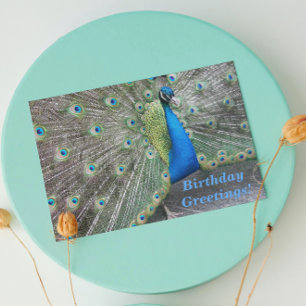 Blått peacock Funny Birthday Kort