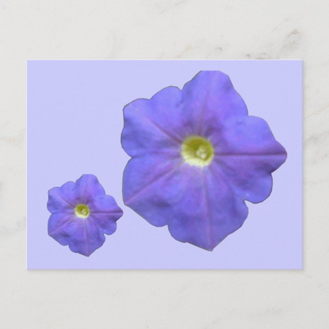 Blått Petunias vykort (Framsida)