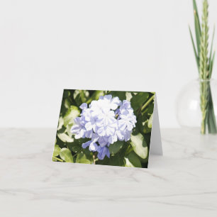 Blått plumbago-fotomappat anteckningskort