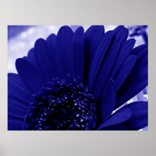 Blått Poster