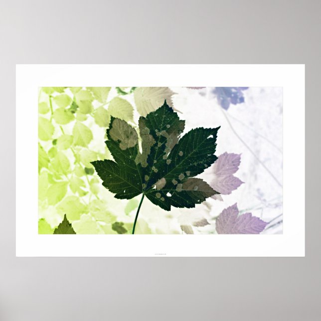 Blatt Poster (Framsidan)