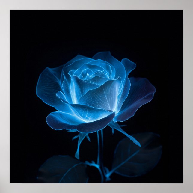 Blått Ro-bioluminescent blomma på svart Poster (Framsidan)
