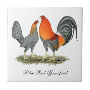 Blått röda Gamefowl Kakelplatta