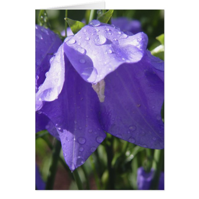 Blått sätta en klocka på kortet hälsningskort (Framsidan)