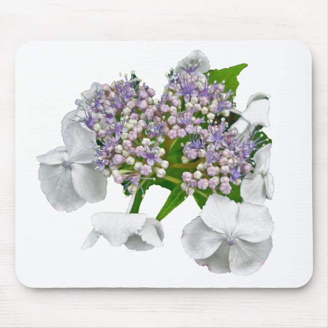 Blått Snöre Hydrangea Coordinating Items Musmatta (Framsidan)
