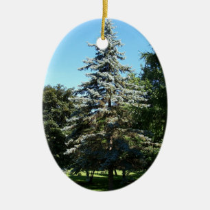 Blått Spruce prydnaden Julgransprydnad Keramik