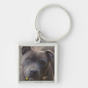 Blått Staffy Fyrkantig Silverfärgad Nyckelring