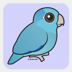 Blått Stillahavs- Parrotlet Fyrkantigt Klistermärke