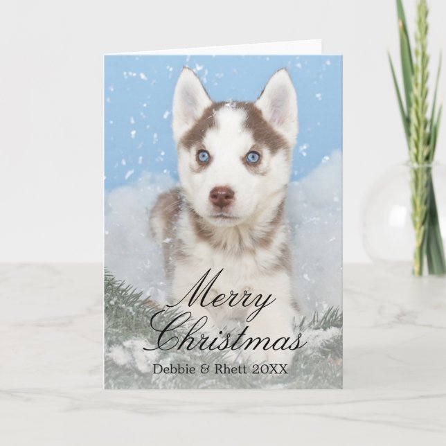 Blått synad husky valpsitta i snö helgkort (Framsida)