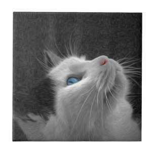 Blått synat kattfoto kakelplatta