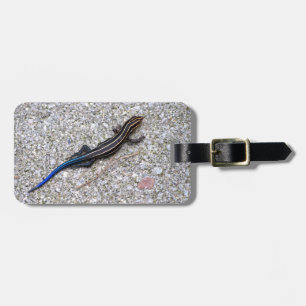 Blått Tailed Skink Bagagebricka