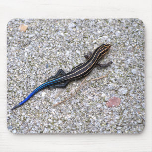 Blått Tailed Skink mousepad Musmatta
